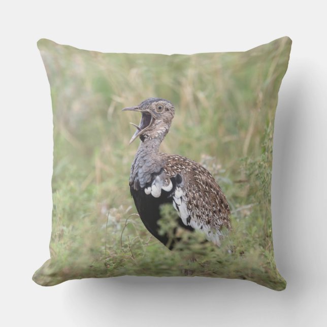 Almofada Red Crested Korhaan (Frente)