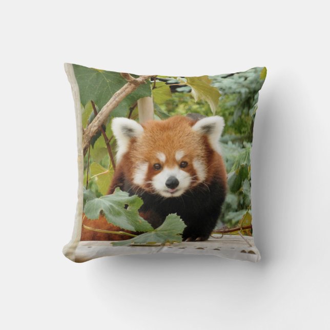 Almofada Red Panda (Frente)