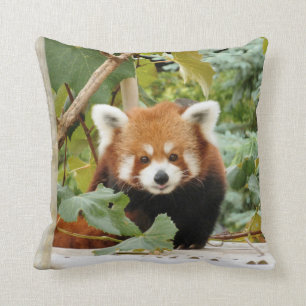 Almofada Red Panda