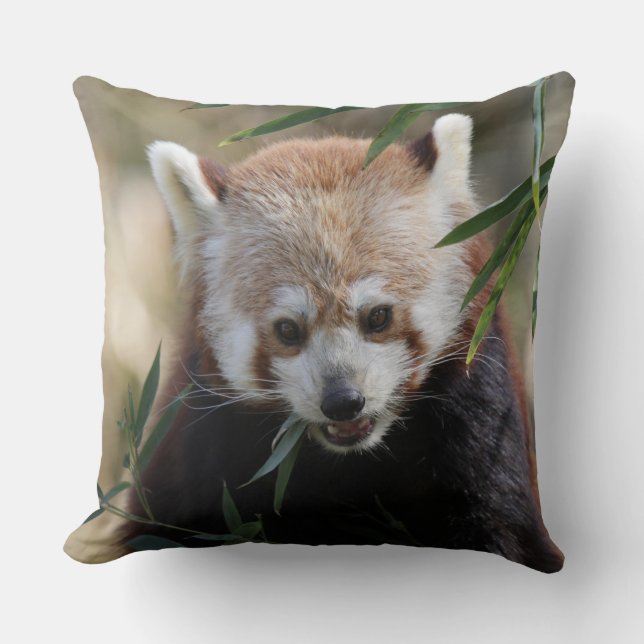 Almofada Red_Panda_2015_0311 (Frente)
