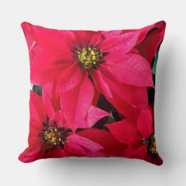 Almofada Red Poinsettias
