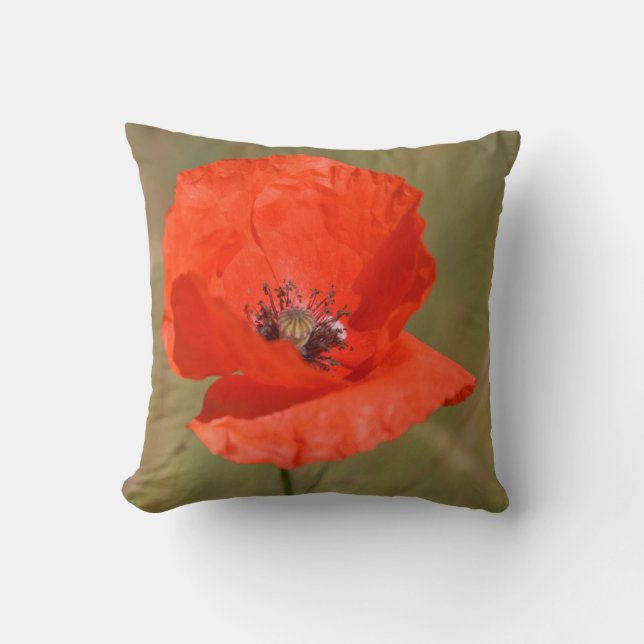 Almofada Red Poppy (Frente)