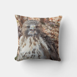 Almofada Red Tailed Hawk Dobrado
