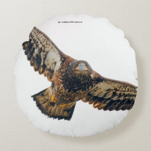 Almofada Redonda A Águia Bald Stunning faz sobrevoo