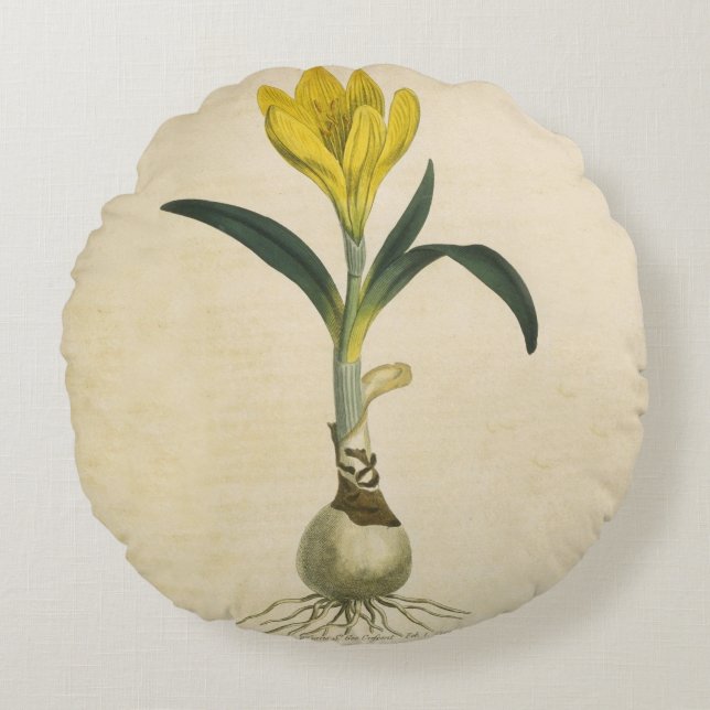 Almofada Redonda Amaryllis Tulip Botanical Garden Flower (Frente)