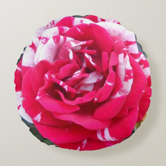 Almofada Redonda Anicia (Frente)