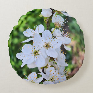Almofada Redonda Árvore em Flor na Primavera Romênia – Fotografia d