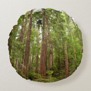 Almofada Redonda Até Sequoias Eu no Monumento Nacional de Muir Wood