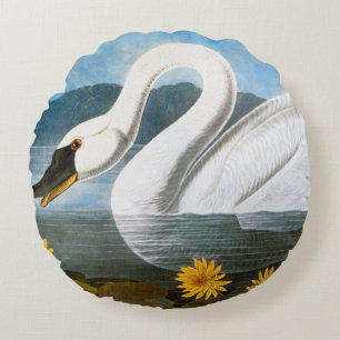 Almofada Redonda Audubon: Cisne comum