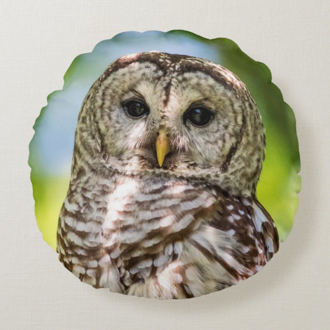 Almofada Redonda Barred Owl (Frente)