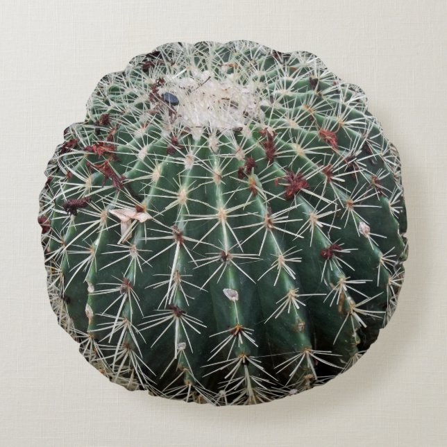 Almofada Redonda Barrel Cactus Design (Frente)