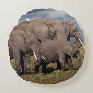 Almofada Redonda Bebê Elefante Africano com família