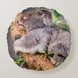 Almofada Redonda Bela coala