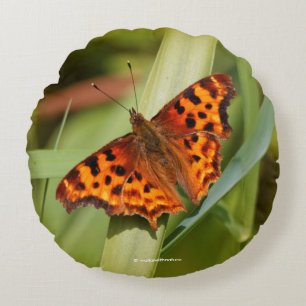 Almofada Redonda Belo Laranja Satyr Comma Butterfly