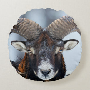 Almofada Redonda Big Horn Ram Sheep - Mouflon