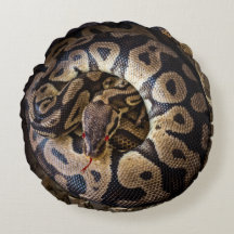 Brincadeira engraçada Python Cobra