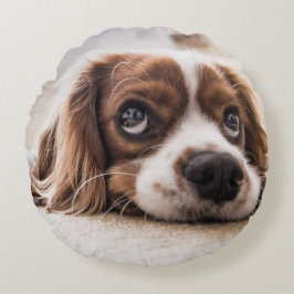 Almofada Redonda Cachorro Panelado De Olhos Tristes