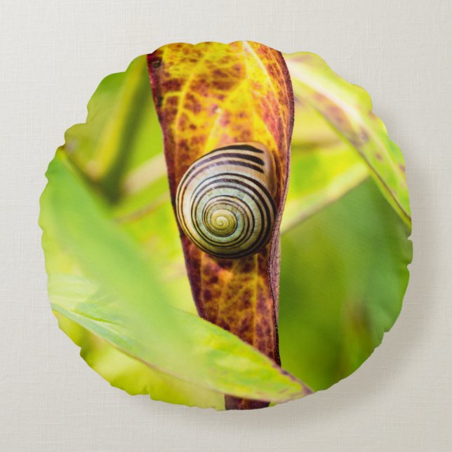 Almofada Redonda calma (Frente)