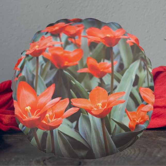 Almofada Redonda Campo de tulipa vermelha (Criador carregado)