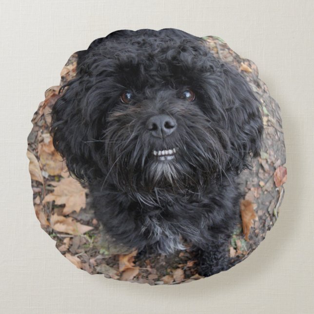 Almofada Redonda Cão preto bonito (Frente)