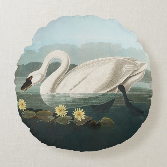 Almofada Redonda cisnes brancas de pássaro de audubon do cisne (Frente)