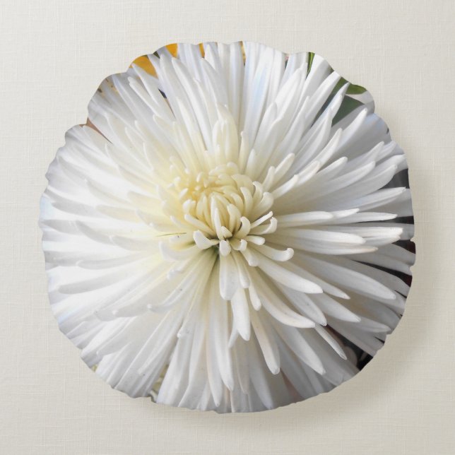 Almofada Redonda Claricia (Frente)