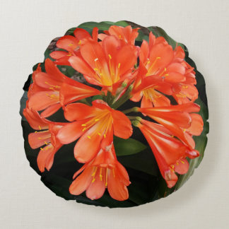 Almofada Redonda Clivia Miniata - A Linda Flor Laranja