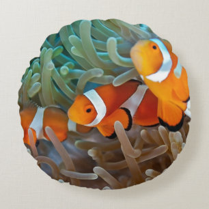 Almofada Redonda Clownfish