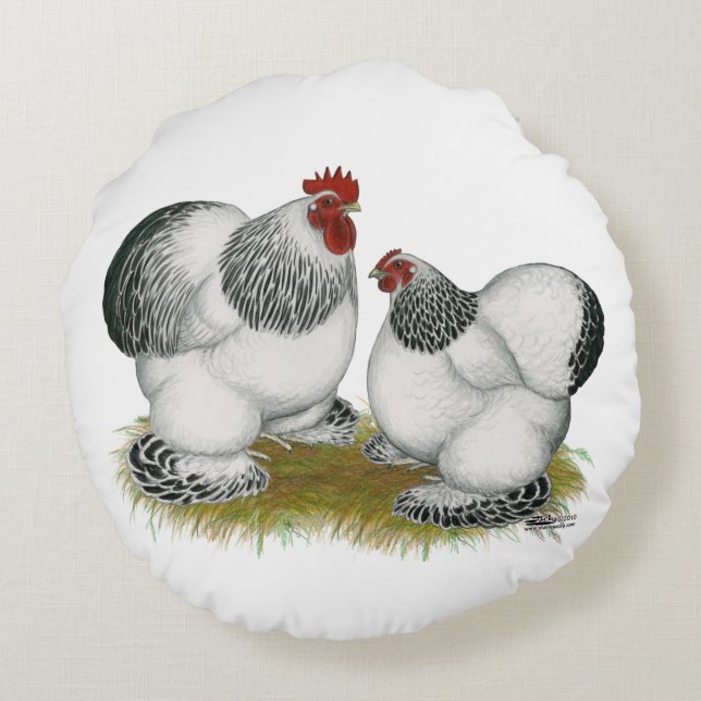 Almofada Redonda Cochin Columbian Bantams (Verso)