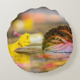 Almofada Redonda Cores de queda