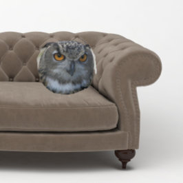 Almofada Redonda Coruja de Águia Eurasiana com Olhos Laranja