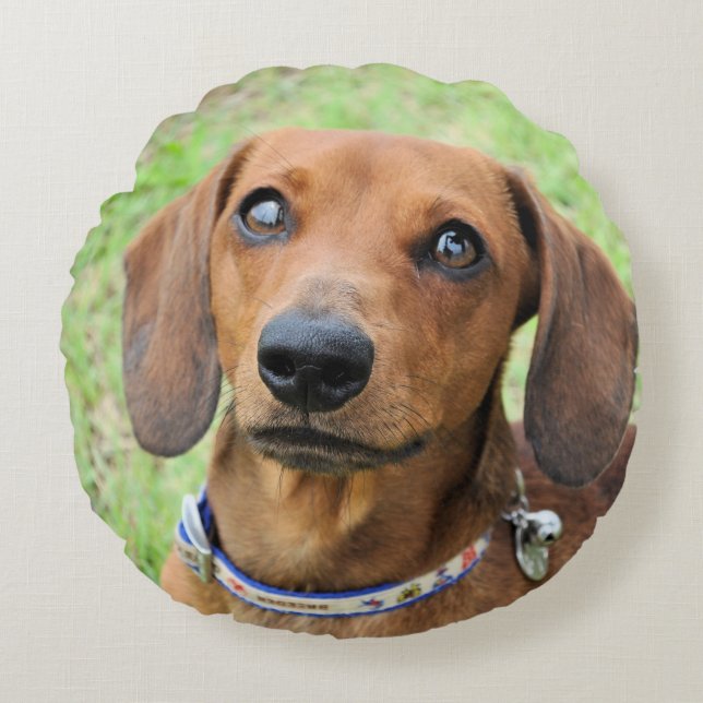 Almofada Redonda dachshund (Frente)