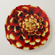 Dália vermelha com senhora azul