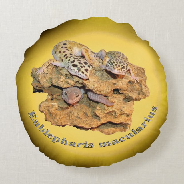 Almofada Redonda Design do geco do leopardo para tudo! (Verso)