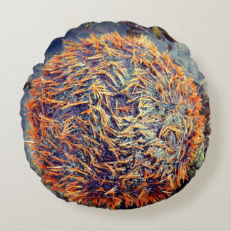 Almofada Redonda Diabrete de mar
