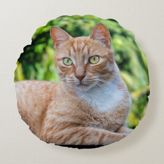 Almofada Redonda Doce gatinho (Frente)