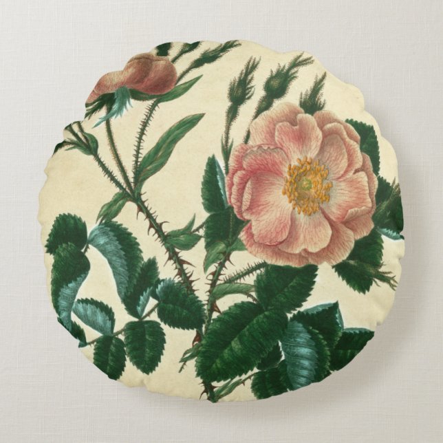 Almofada Redonda Doce Rosa Briar (Frente)