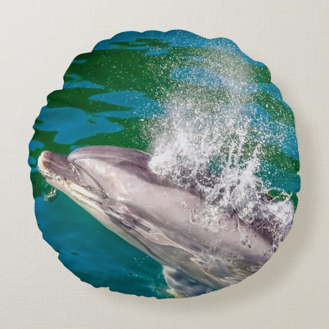 Almofada Redonda Dolphin In Milford Sound, Nova Zelândia (Frente)