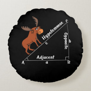 Almofada Redonda Engraçado Matemática Hipotemose Geometria Mose Pia