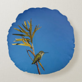 Almofada Redonda Female Hummingbird 