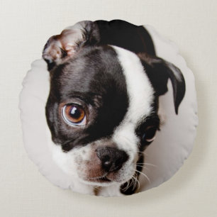 Almofada Redonda Filhote de cachorro de Edison Boston Terrier