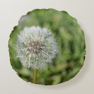 Almofada Redonda Flor de dandelion branco sobre grama verde