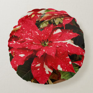 Almofada Redonda Flores Festivas de Poinsettia Vermelhas Brancas Fl