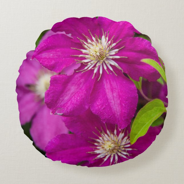 Almofada Redonda Flores no Robinette's Apple Haus e Gift Barn 2 (Frente)
