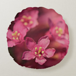 Almofada Redonda Flores Rosa Bonitas