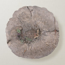 Foto de árvore de palma de corte botânico