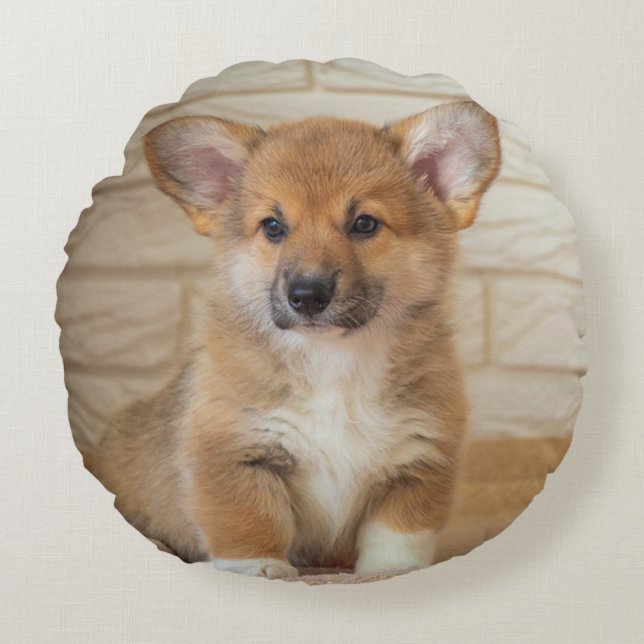 Almofada Redonda Foto de cachorro Corgi (Frente)