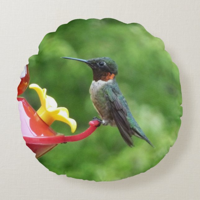 Almofada Redonda Fotografia de Beija-Flor-de-Pescoço-Vermelho (Frente)