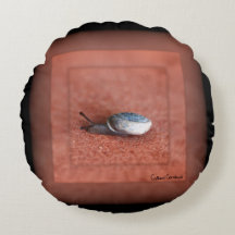 Fotografia Macro de Caracol em Terracota