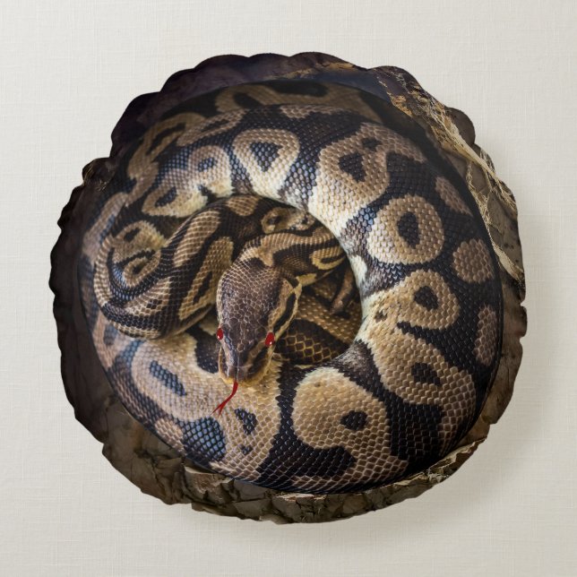 Almofada Redonda Funny Pet Python Boa Cobra (Frente)